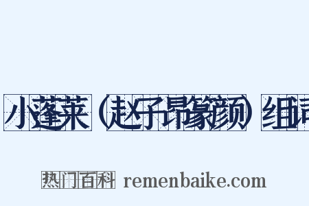 小蓬莱（赵子昂篆颜）组词是什么意思的图片